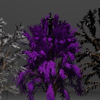 Mi centro - EP - LEO