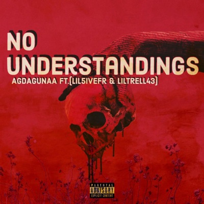 No Understandings (feat. lil5ivefr & Liltrell43) - Single