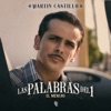 Las Palabras Del 1 (El Mencho) - Single