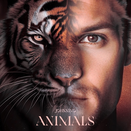 Album artwork