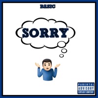 Sorry - Single - Basic