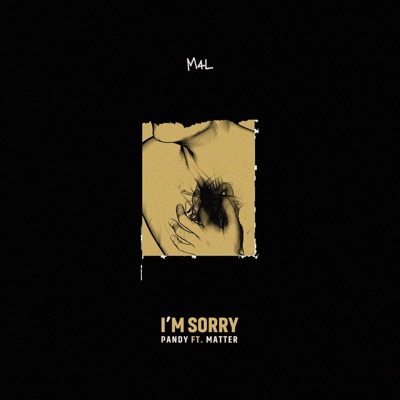 I'm Sorry (feat. Pandy & Black matter) - Single
