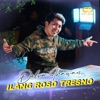 Ilang Roso Tresno - Single