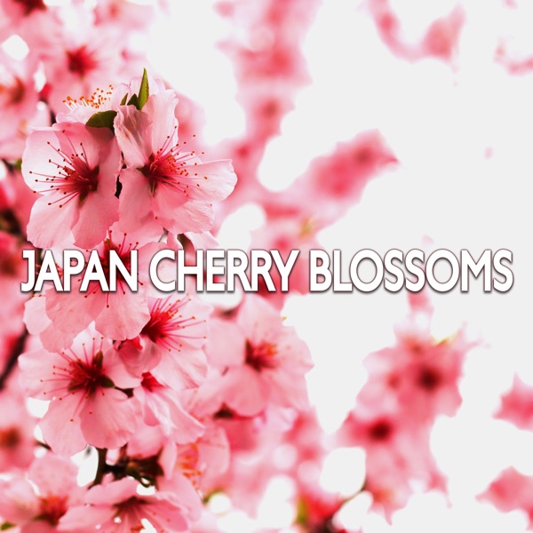 Japan Cherry Blossoms (Beautiful Meditation Music for Thai Massage & Spa, Asian Zen Reiki Tracks, Relaxing Music for Healing and Wellness)