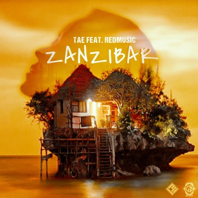 zanzibar (réédition) (feat. Tae) - Single