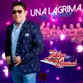 Una Lágrima de Dolor