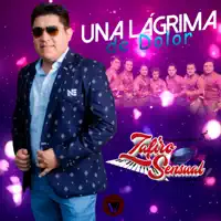 Una Lágrima de Dolor