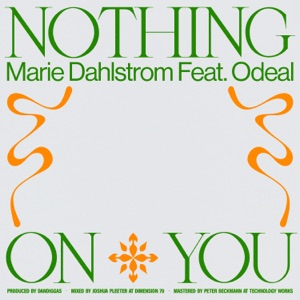 Nothing On You (feat. Odeal)