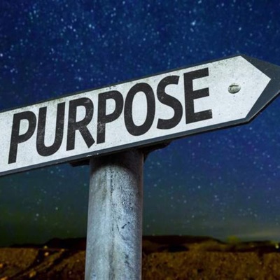 Purpose - Single