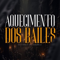 Aquecimento dos Bailes - Single - Dj Viana & MC Magrella