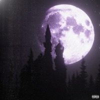 Fake Love - Single - DieAlone