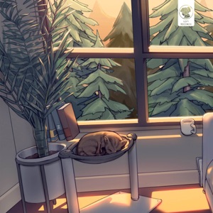 A Shady Place