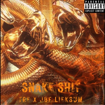 Snake Shit (feat. JBF LiekSum) - Single