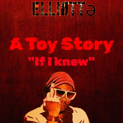 A Toy Story (If I Knew) - Single