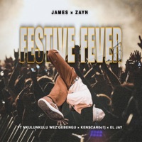 Festive Fever (feat. Nkulunkulu weZ'gebengu, Kenscar0o7j & El Jay) - Single - James x Zayn