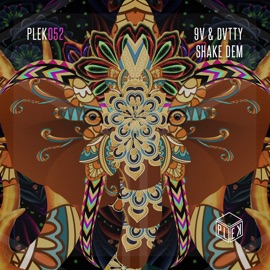 Shake Dem (Extended Mix) 9V & DVTTY