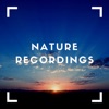 Nature Often Loves Noise - Single