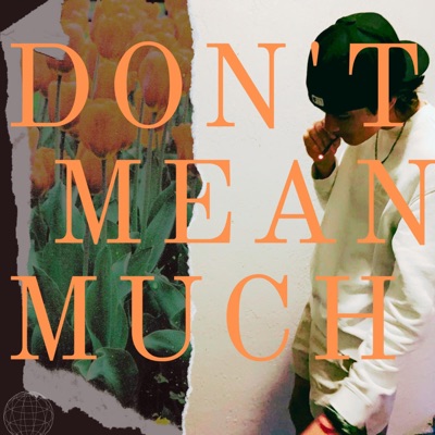 Don't Mean Much - Single