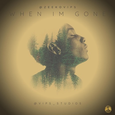 When IM Gone - Single