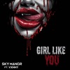 Girl Like You (feat. Vxnny) - Single