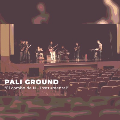 El combo de N-instrumental - Single