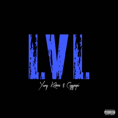 LVL - Single