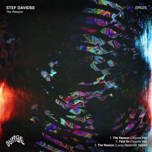 The Reason - Single