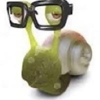 Korosu Anthem (feat. Occult.14 & Nyli) - Single - korosukult