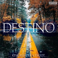 DESTINO / Why So Serious? (feat. ExGot) - Single - King Rayder