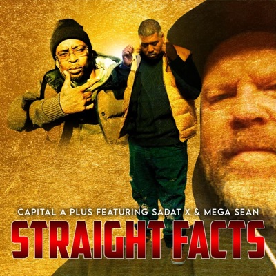 Straight Facts (feat. Sadat X & Mega Sean) - Single