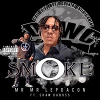 SMOKE (feat. Shaw DaBoss) - Single - MrMr Lepdacon