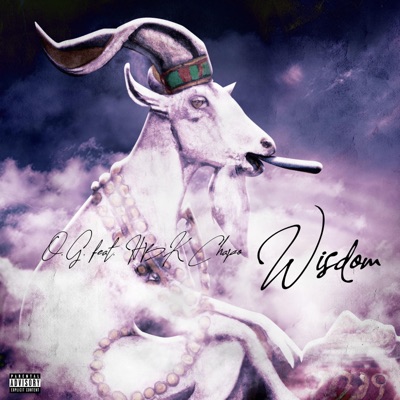 Wisdom (feat. HBK Chapo) - Single