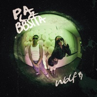 Pa la BBSITA - Single - Wolf B