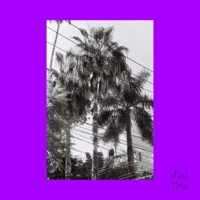 Higher than the Ceiling (feat. Vitorio, Jelie & Manuelito Navaja) - Single - Feedbach