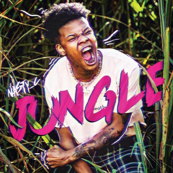 Jungle - Single - Nasty C