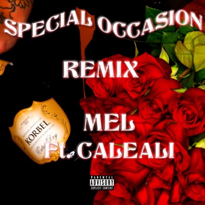 Special Occasion (feat. Caleali) [Remix] [Remix] - Single