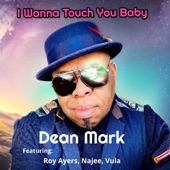 I Wanna Touch You Baby (feat. Roy Ayers, Najee & Vula) artwork