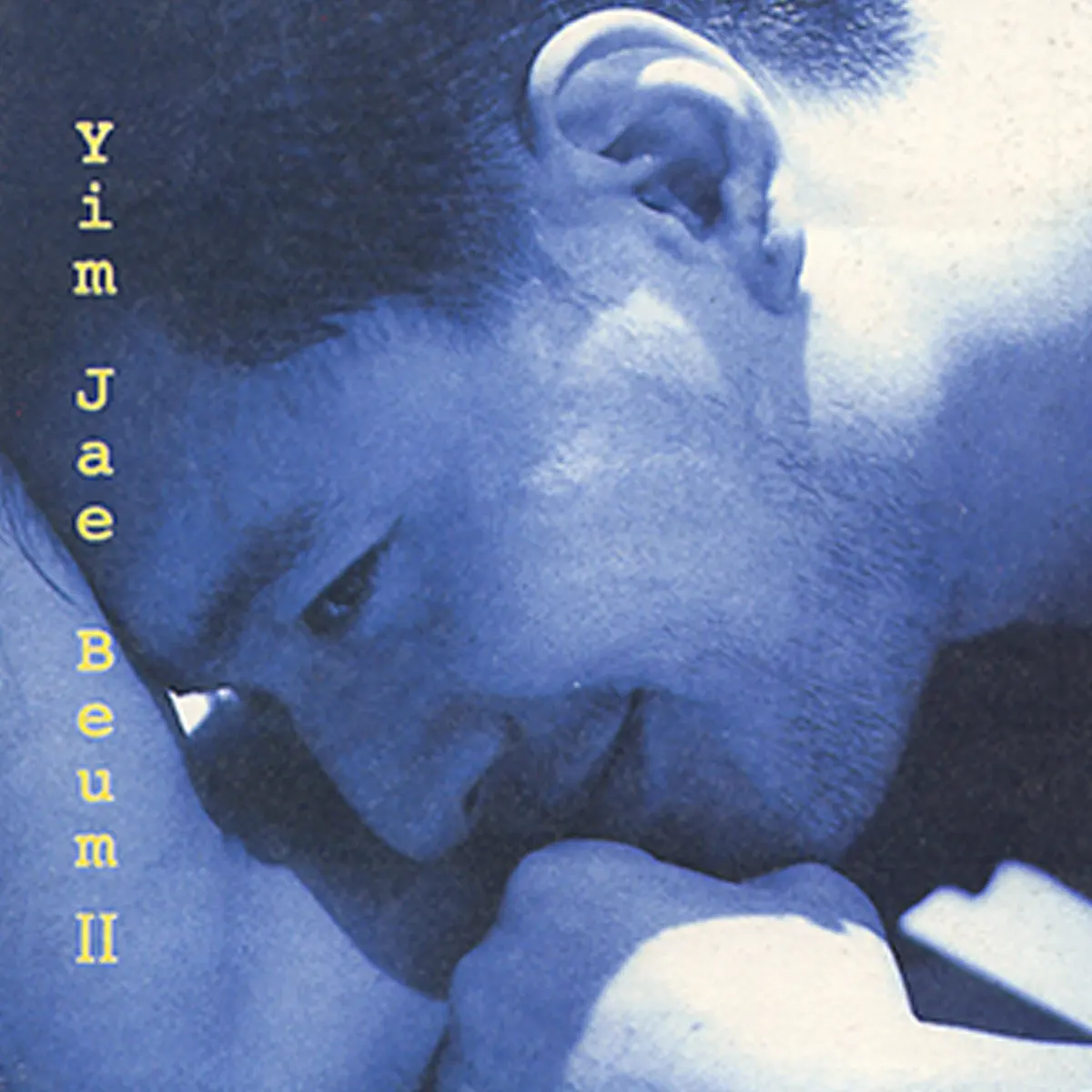 Lim Jae Beum 任宰範 - The Flight (1997) [iTunes Plus AAC M4A]-新房子