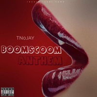 Boom Scoom Anthem - Single - Tn0jay
