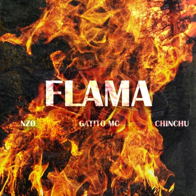 Flama (feat. NZØ & Gatito MC) - Single