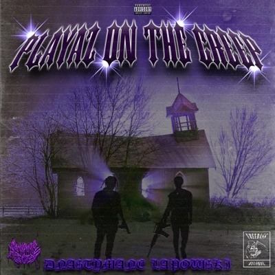 Playaz On the Creep - Single