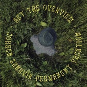 The Overview artwork