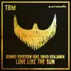 Dennis Kruissen - Love Like the Sun (feat. David Benjamin)