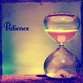 Patience (feat. Nauved) Rose Jay