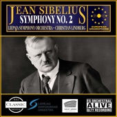 Sibelius: Symphony No. 2 in D Major, Op. 43: II. Tempo Andante, Ma Rubato: IV artwork