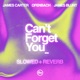Can t Forget You feat James Blunt slowed reverb Single