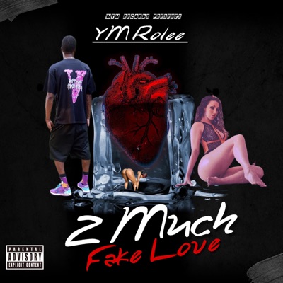 2 Much Fake Love - Single