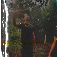 Bodies Dropped - Single - Percaso