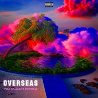 OVERSEAS (feat. Both Sidez of Tha Fence) - Single - Polo Smallzz