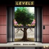 Angemi/Shiah Maisel - Levels